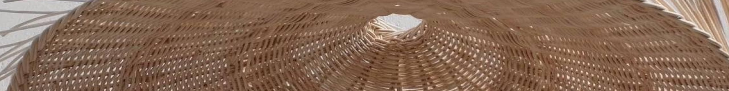 โครงสร้างองค์กร